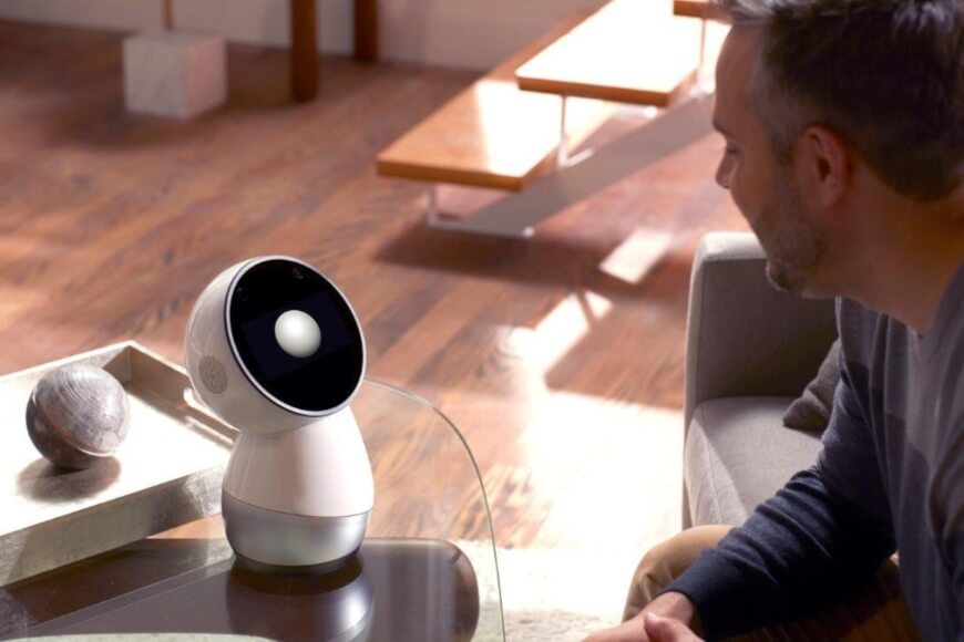 social companion robots