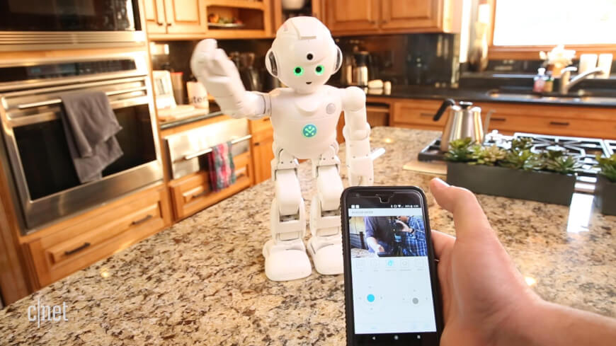social companion robots