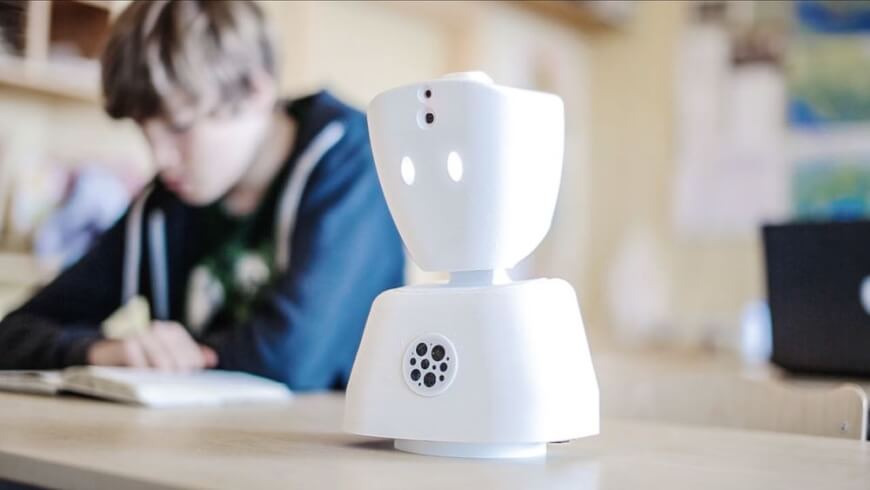 social companion robots