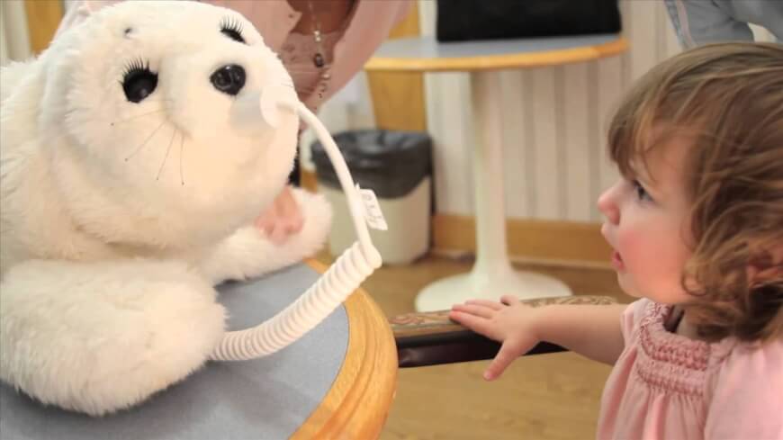social companion robots