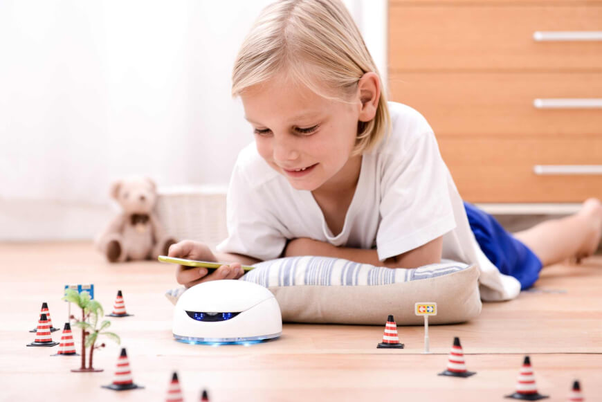 social companion robots